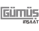 Gümüş İnşaat Logo